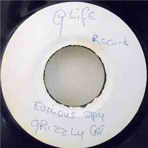 Grizzly Cat - Evilous Spy