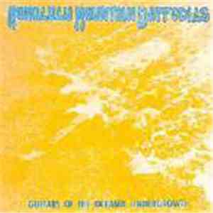Honolulu Mountain Daffodils - Guitars Of The Oceanic Undergrowth