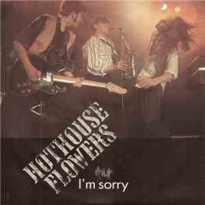 Hothouse Flowers - I'm Sorry
