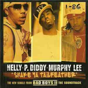 Nelly, P. Diddy & Murphy Lee - Shake Ya Tailfeather