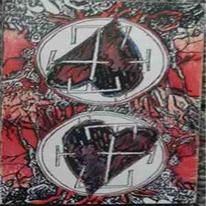 Cerebellum  - Cerebellum