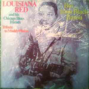Louisiana Red And His Chicago Blues Friends - Boy From Black Bayou