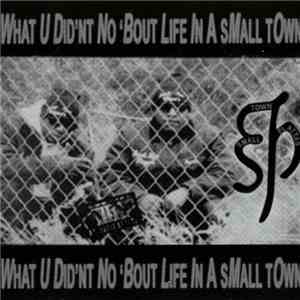 STP - What U Did'nt No 'Bout Life In A Small Town