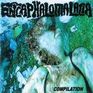 Various - The "Encaphalomalacia" Compilation