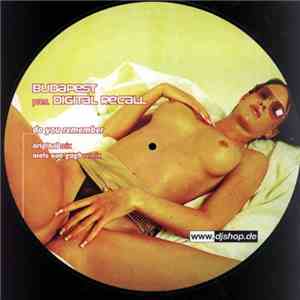 Digital Recall - Do You Remember