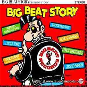 Various - Big Beat Story