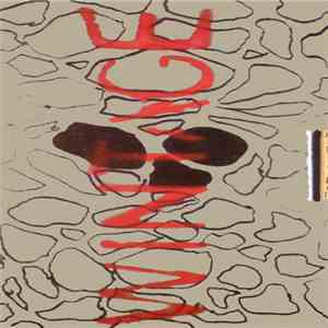 Demons / Thames - Split