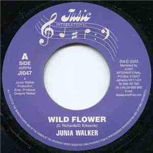 Junior Walker  - Wild Flower