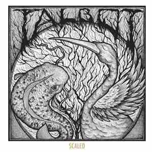 Talbot - Scaled
