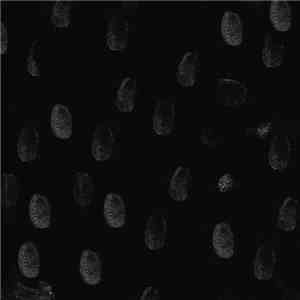 Mickey Pearce - Wam Barzz