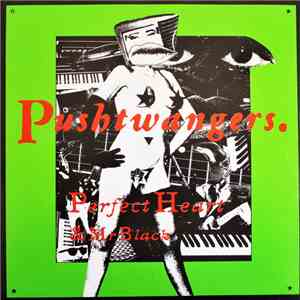 Pushtwangers - Perfect Heart / Mr Black