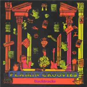 The Flamin' Groovies - Backtracks