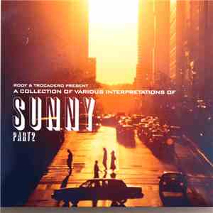 Various - A Collection Of Various Interpretations Of Sunny Part 2