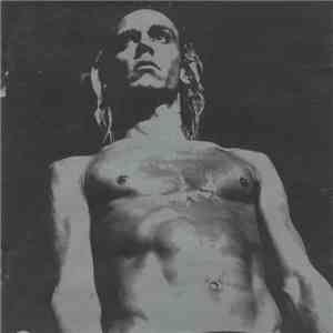 Various - We Will Fall: The Iggy Pop Tribute