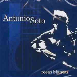 Antonio Soto - Rosas Blancas