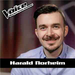 Harald Norheim - Somebody To Love