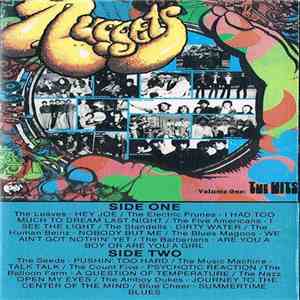 Various - Nuggets Volume One: The Hits