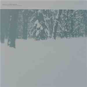 Sheriffs Of Nothingness - Silent Night At The Crooked Forest