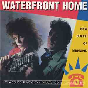 Waterfront Home - New Breed Of Mermaid