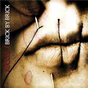 Brick By Brick, Ruckus - Brick By Brick / Ruckus