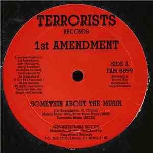 1st Amendment - Somethin About The Musik