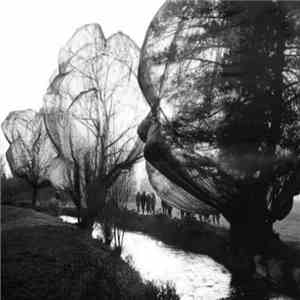 Kristina Dutton - Imitations