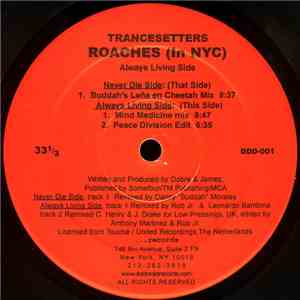 Trancesetters - Roaches (In NYC)