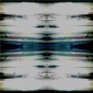 Animal Machine  / God Pussy - Spacetime Fractality