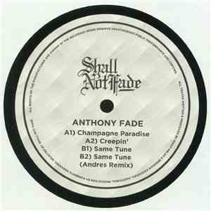 Anthony Fade - Champagne Paradise