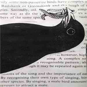 Fossils / Thoughts On Air - Terror Tapes Volume 12