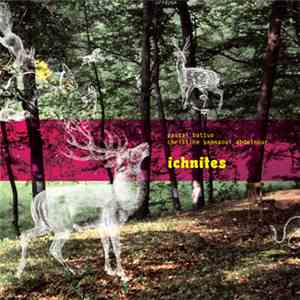 Pascal Battus - Christine Sehnaoui Abdelnour - Ichnites