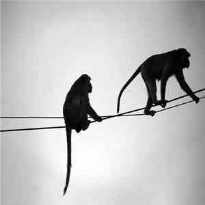 Petit Gateau - Full Bordel