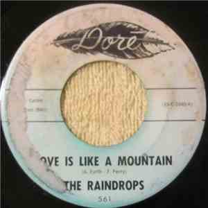 The Raindrops  - Love Is Like A Mountain