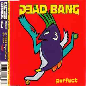 Dead Bang - Perfect