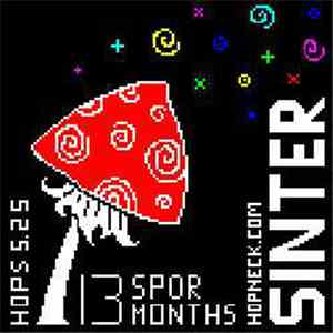Sinter - 13 Months
