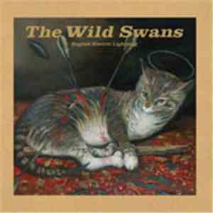 The Wild Swans - English Electric Lightning