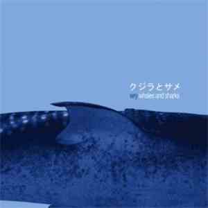 Wry - Whales And Sharks