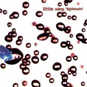 Little Wing - Lightheaded