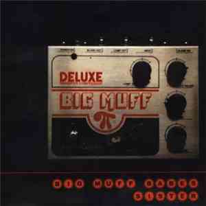 Miscellaneous  / Big Muff Babes - The Brother And Sister Jam 2