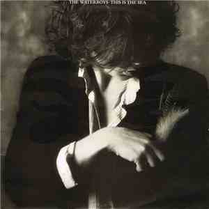 The Waterboys - This Is The Sea