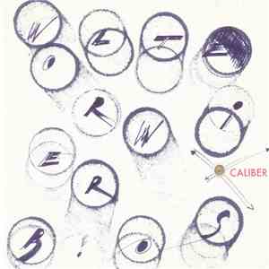 Wolter Wierbos - X Caliber