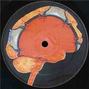 Cyclic Backwash / Ito  - Deviant Orbit 01