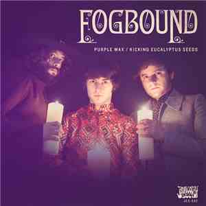 Fogbound  - Purple Wax / Kicking Eucalyptus Seeds