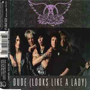 Aerosmith - Dude (Looks Like A Lady)