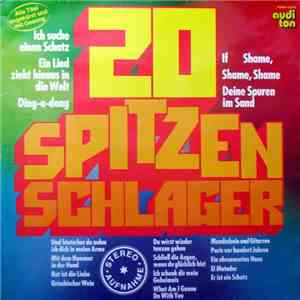 Unknown Artist - 20 Spitzenschlager
