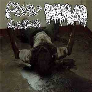 Anal Larva, Dissolved  - Split