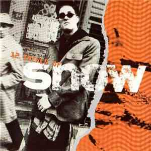 Snow  - 12 Inches Of Snow