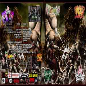 Vaginal Kebab / Scrotovarios / Mutilated Judge / Human Scrap - 4 Way split