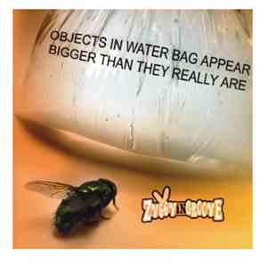Zvoov In Groove - Objects in Water Bag Appear Bigger Than They Really Are