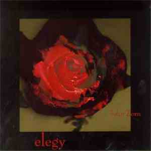 John Zorn - Elegy